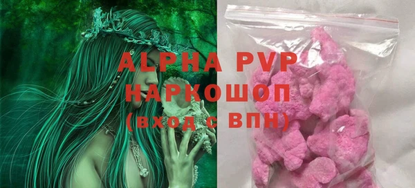 индика Новозыбков