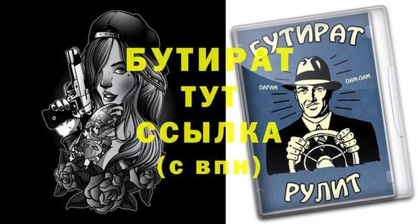 индика Новодвинск